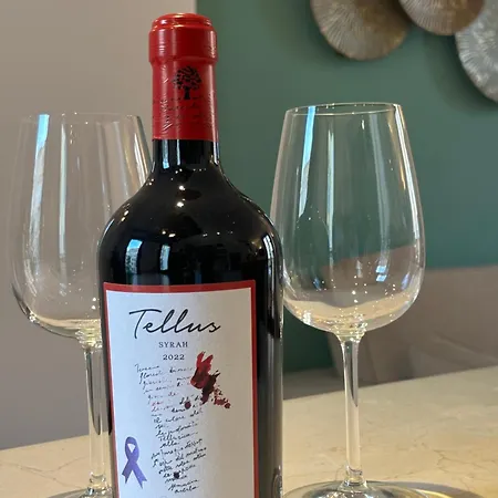 Vincent's Place, Vatican *